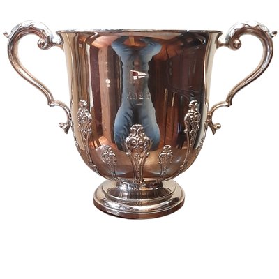 Trophy-Shaped Wine Cooler in Silver, Bilbao, Spain-TCS-1072590