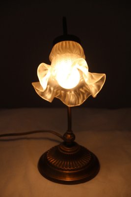 Tulip Glass Lampshade Accent Table Lamp, France, 1970s-NAD-1806404