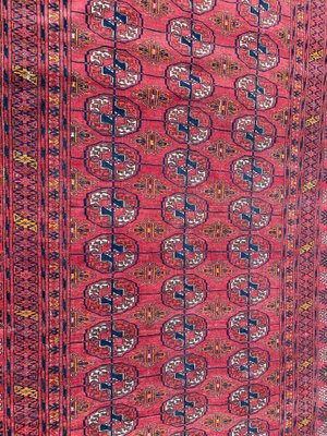 Turkmen Bukhara Rug-YMM-1061604