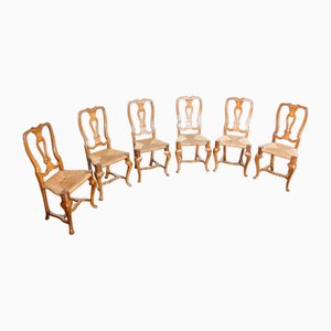 Tuscan Dining Chairs in Walnut, 1800s, Set of 6-OJE-1798597