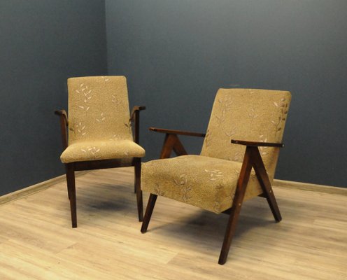 Type 300-123 Armchair by Mieczysław Puchała, 1950s-KDW-1150898