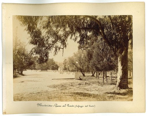 Unknown, Ancient View of Buenos Aires, Argentina, Photo, 1880s, Set of 2-ZCI-911972