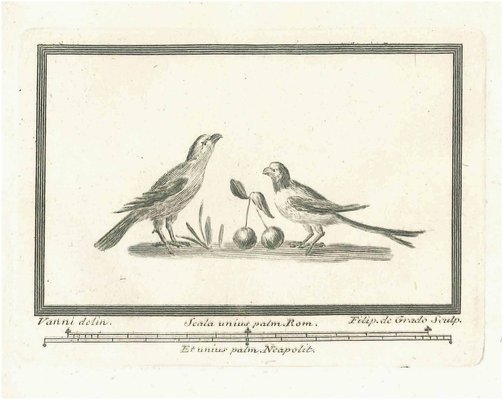 Unknown, Birds, Etching, 18th Century-ZCI-1759317