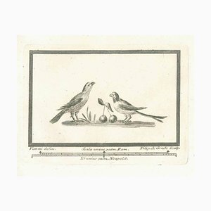 Unknown, Birds, Etching, 18th Century-ZCI-1759317