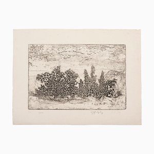 Unknown - Landscape - Original Etching on Paper - 1969-ZCI-834624