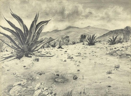 Unknown - Landscape with Agave - Original Drawing by Robert Block - 1970s-ZCI-871594