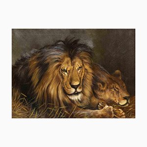 Unknown, Lions, Oil Painting, 1950s-ZCI-2029248