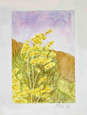 Unknown, Wildflowers, Drawing, 1996-ZCI-1781623