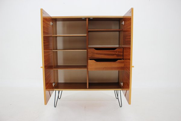 Upcycled Birch Cabinet, Czechoslovakia, 1970s-TZ-1293660