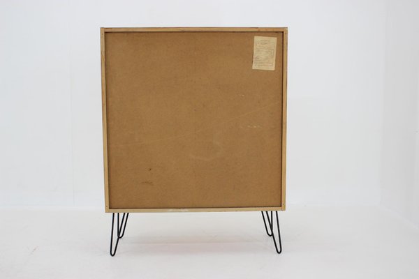 Upcycled Birch Cabinet, Czechoslovakia, 1970s-TZ-1293660