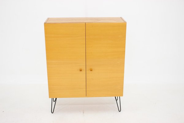 Upcycled Birch Cabinet, Czechoslovakia, 1970s-TZ-1293660