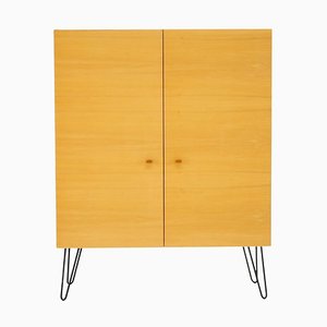 Upcycled Birch Cabinet, Czechoslovakia, 1970s-TZ-1293660