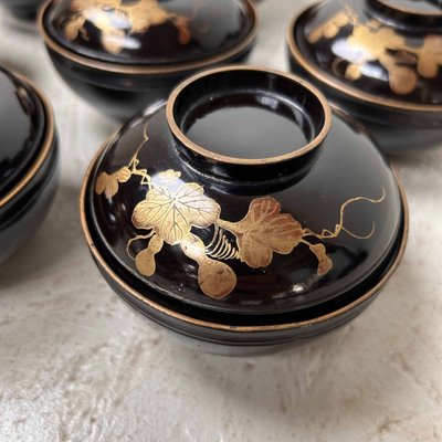 Urushi Maki-E Lidded Rice Bowls, Japan, 1920s, Set of 9-DWL-1699736