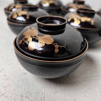 Urushi Maki-E Lidded Rice Bowls, Japan, 1920s, Set of 9-DWL-1699736