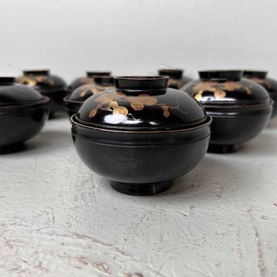 Urushi Maki-E Lidded Rice Bowls, Japan, 1920s, Set of 9-DWL-1699736