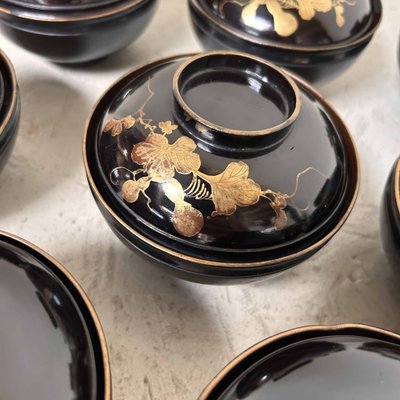 Urushi Maki-E Lidded Rice Bowls, Japan, 1920s, Set of 9-DWL-1699736