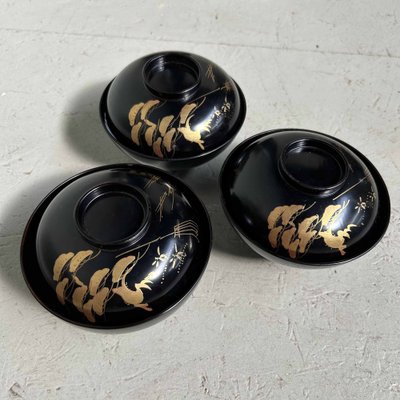 Urushi Maki-E Rice Bowls, Japan, 1910s, Set of 3-DWL-1698151