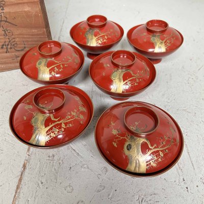 Urushi Maki-E Rice Bowls with Sakura Decor, Japan, 1920s, Set of 8-DWL-1691225