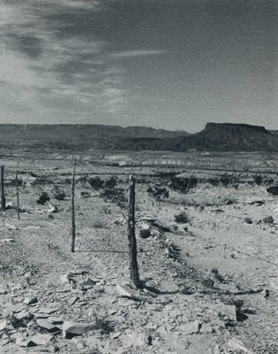 Valley, Texas, USA, 1960s, Black & White Photograph-DYV-1245444