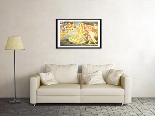 Venus Giclée Print by Dadodu, 2019-ZCI-781433