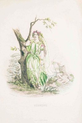 Verveine - Les Fleurs Animées Vol.II - Litho by J.J. Grandville - 1847 1847-ZCI-757161