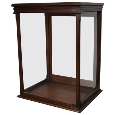 Victorian Mahogany Museum Display Cabinet-XO-1139192