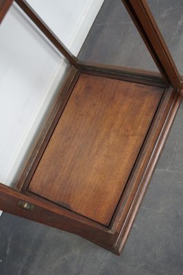 Victorian Mahogany Museum Display Cabinet-XO-1139192