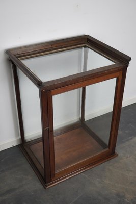 Victorian Mahogany Museum Display Cabinet-XO-1139192