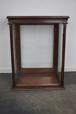 Victorian Mahogany Museum Display Cabinet-XO-1139192