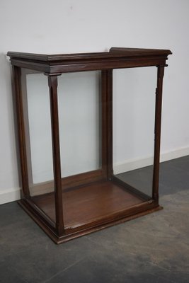 Victorian Mahogany Museum Display Cabinet-XO-1139192