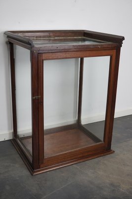 Victorian Mahogany Museum Display Cabinet-XO-1139192