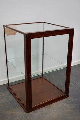 Victorian Mahogany Museum / Shop Display Cabinet, Late 19th Century-XO-1028634