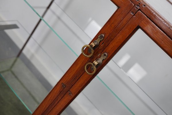 Victorian Mahogany Shop Display Cabinet Counter or Vitrine, Late 19th Century-XO-1151334