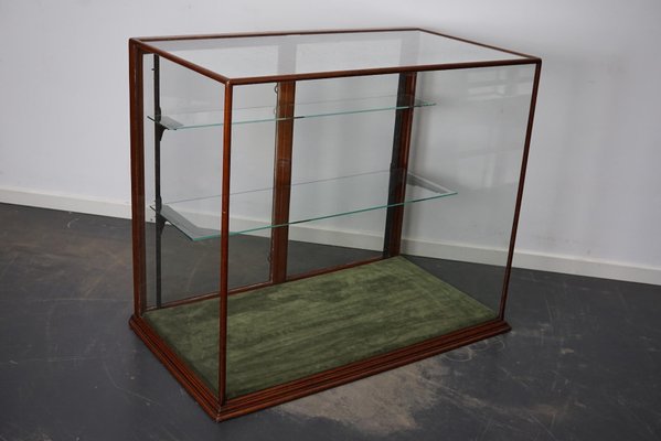 Victorian Mahogany Shop Display Cabinet Counter or Vitrine, Late 19th Century-XO-1151334