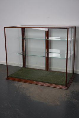 Victorian Mahogany Shop Display Cabinet Counter or Vitrine, Late 19th Century-XO-1151334