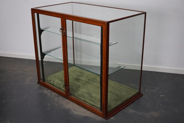 Victorian Mahogany Shop Display Cabinet Counter or Vitrine, Late 19th Century-XO-1151334