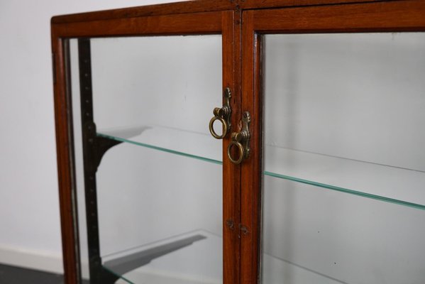 Victorian Mahogany Shop Display Cabinet Counter or Vitrine, Late 19th Century-XO-1151334