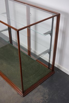 Victorian Mahogany Shop Display Cabinet Counter or Vitrine, Late 19th Century-XO-1151334