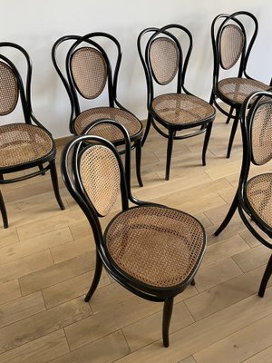 Viennese Chairs N.33 by J & J Kohn, 1900, Set of 8-OTV-1093292