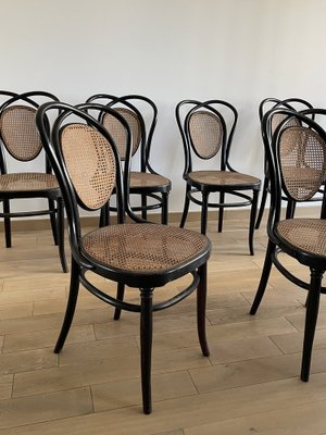 Viennese Chairs N.33 by J & J Kohn, 1900, Set of 8-OTV-1093292