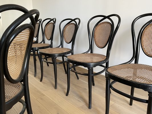 Viennese Chairs N.33 by J & J Kohn, 1900, Set of 8-OTV-1093292