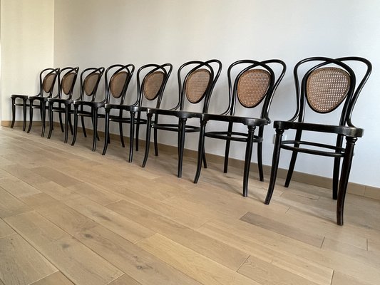 Viennese Chairs N.33 by J & J Kohn, 1900, Set of 8-OTV-1093292