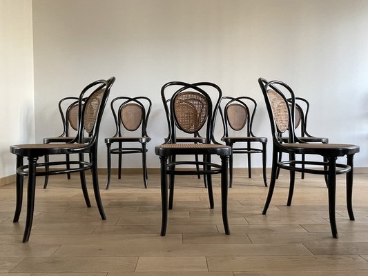 Viennese Chairs N.33 by J & J Kohn, 1900, Set of 8-OTV-1093292