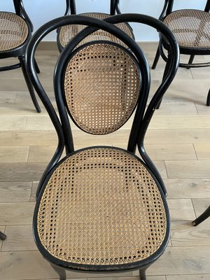 Viennese Chairs N.33 by J & J Kohn, 1900, Set of 8-OTV-1093292