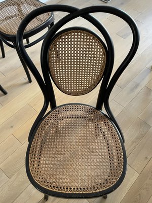 Viennese Chairs N.33 by J & J Kohn, 1900, Set of 8-OTV-1093292