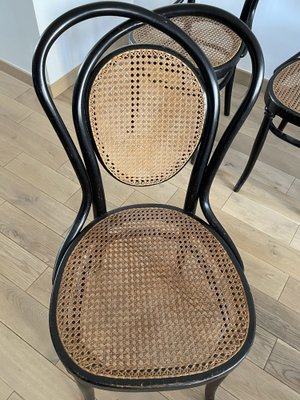 Viennese Chairs N.33 by J & J Kohn, 1900, Set of 8-OTV-1093292