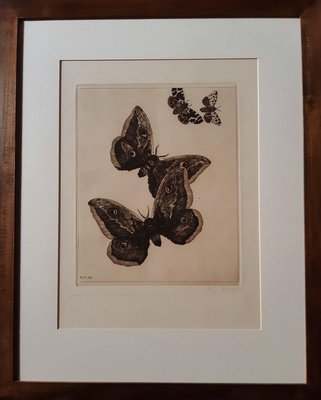 Vier Schmetterlinge - Original Etching by Richard Muller - 1899 1899-ZCI-761713