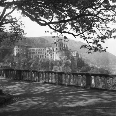 View to the Heidelberg Castle, Germany 1938, Printed 2021-DYV-990655