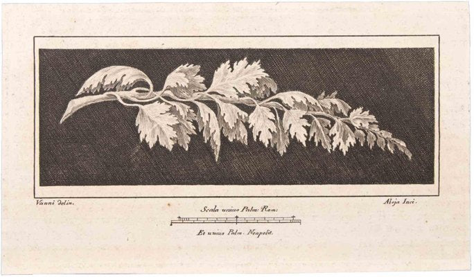 Vincenzo Aloja, Ranch with Leaves, Etching, 18th Century-ZCI-1760608