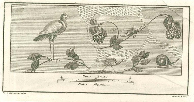 Vincenzo Campana, Birds Pompeian Fresco, Etching, 18th Century-ZCI-1781882